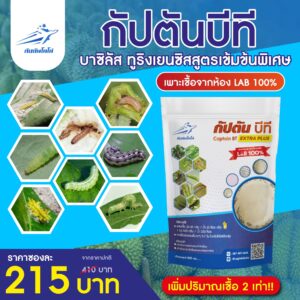 กัปตัน บีที<br>บีที(บาซิลลัส ทูริงเยนซิส) 500 กรัม เชื้อผงพร้อมใช้