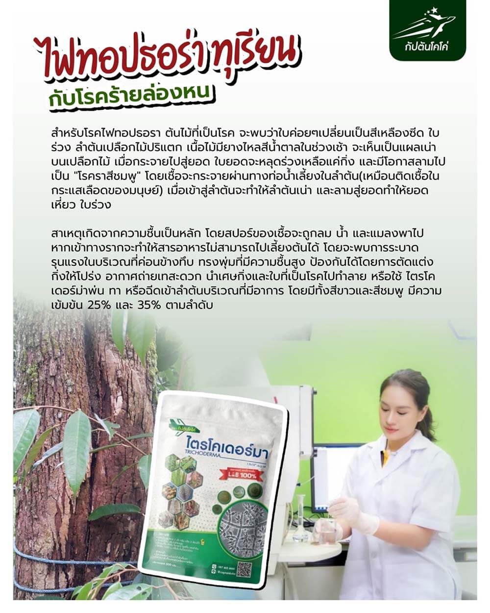 Read more about the article ไฟทอปธอราทุเรียน