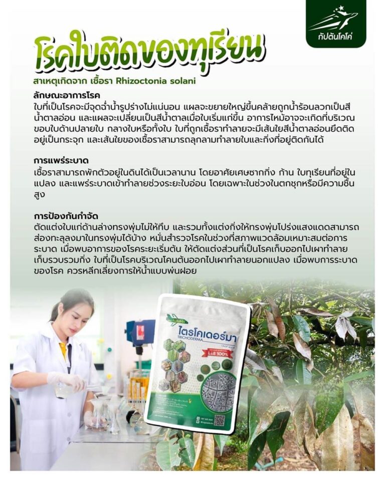 Read more about the article โรคใบติดหรือใบไหม้ (Leaf Blight)