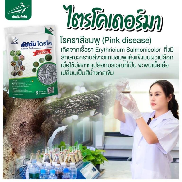 Read more about the article โรคราสีชมพู ในสวนทุเรียน