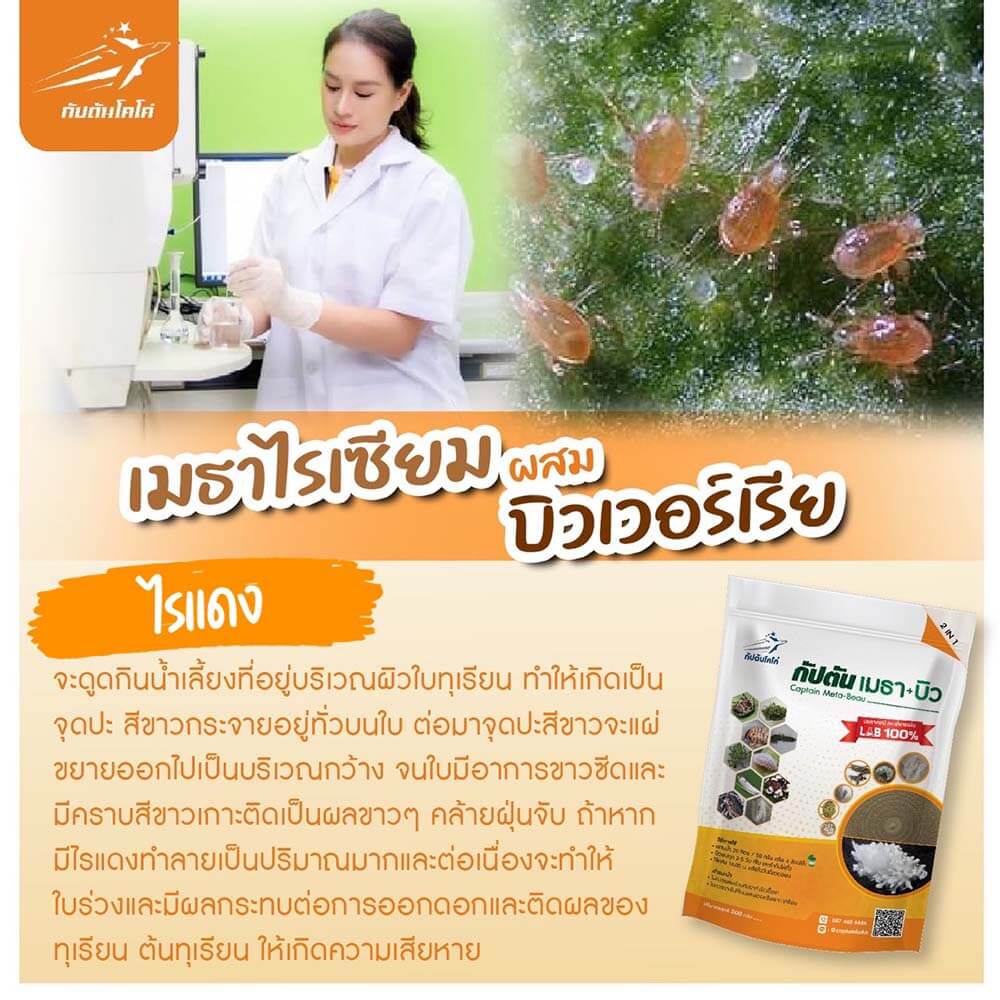 You are currently viewing ไรแดง(African red mite)￼
