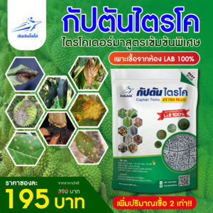 กัปตัน ไตรโค<br>ไตรโคเดอร์มา 500 กรัม เชื้อผงพร้อมใช้