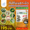 กัปตัน เมธา+บิว<br>เมธาไรเซียมผสมบิวเวอร์เรีย 500 กรัม เชื้อผงพร้อมใช้
