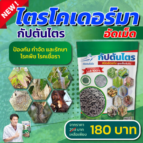 ไตรโคเดอร์มาอัดเม็ด <br> กัปตันไตร ขนาด 1 กิโลกรัม