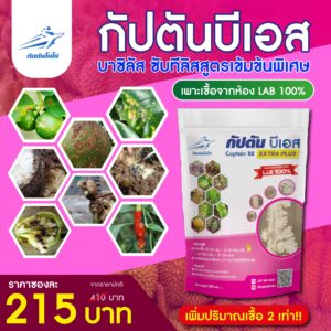 กัปตันบีเอส<br> บีเอส (บาซิลลัส ซับทีลิส) 500 กรัม เชื้อผงพร้อมใช้
