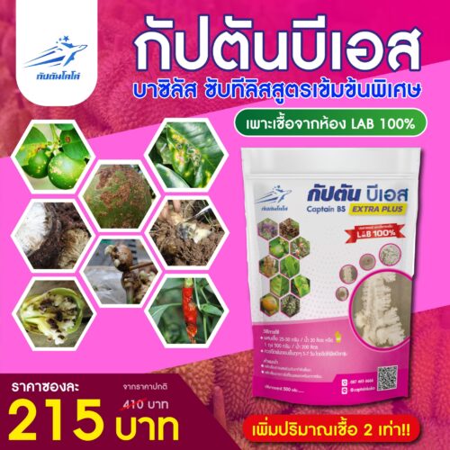 กัปตันบีเอส<br> บีเอส (บาซิลลัส ซับทีลิส) 500 กรัม เชื้อผงพร้อมใช้