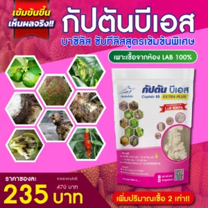 กัปตันบีเอส <br> บีเอส (บาซิลลัส ซับทีลิส) 500 กรัม เชื้อผงพร้อมใช้