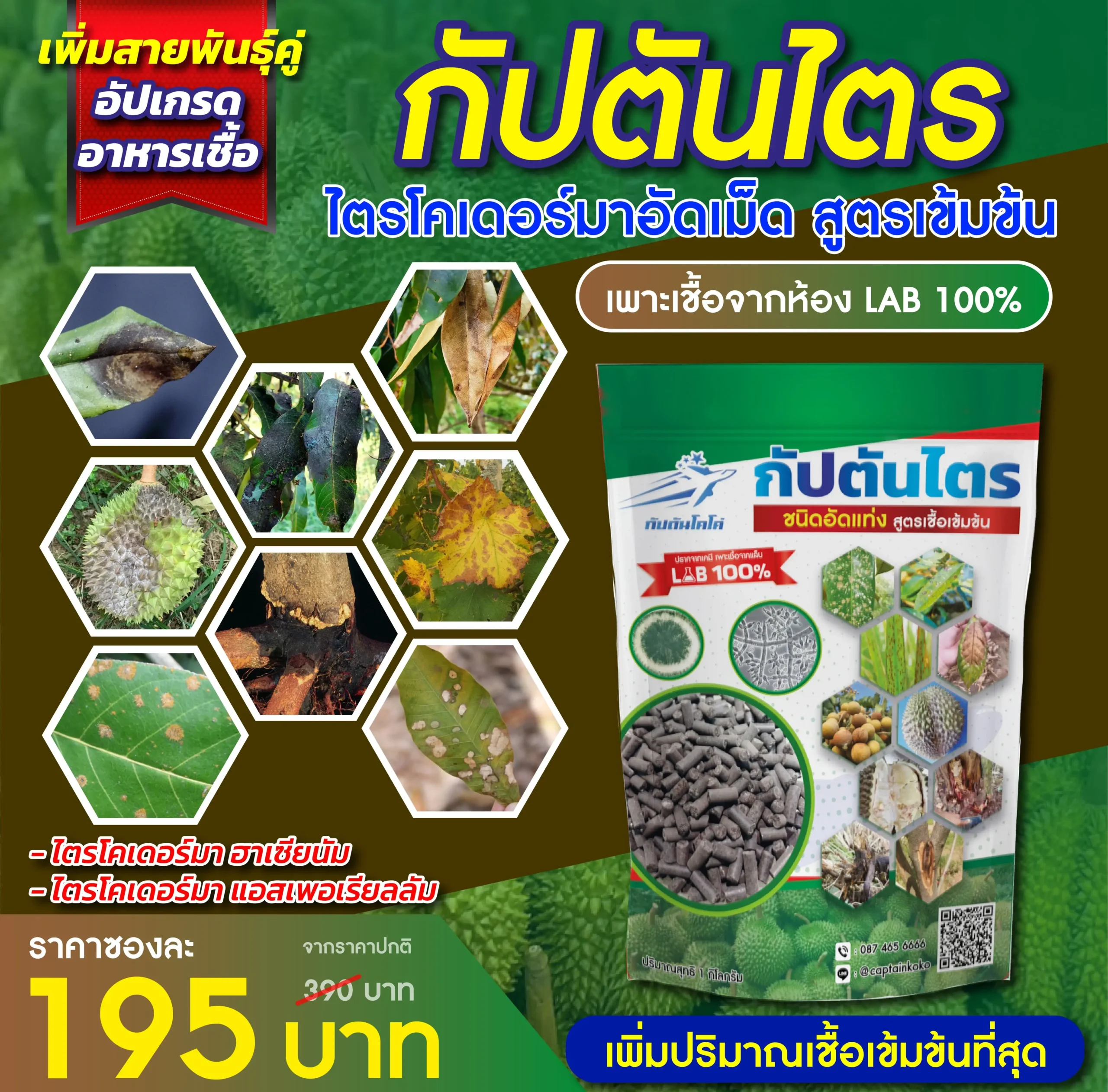 ไตรโคเดอร์มาอัดเม็ด กัปตัน ไตร ขนาด 1 กิโลกรัม