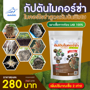 กัปตัน ไมคอร์ซ่า <br> ไมคอร์ไรซ่า ขนาด 500 กรัม