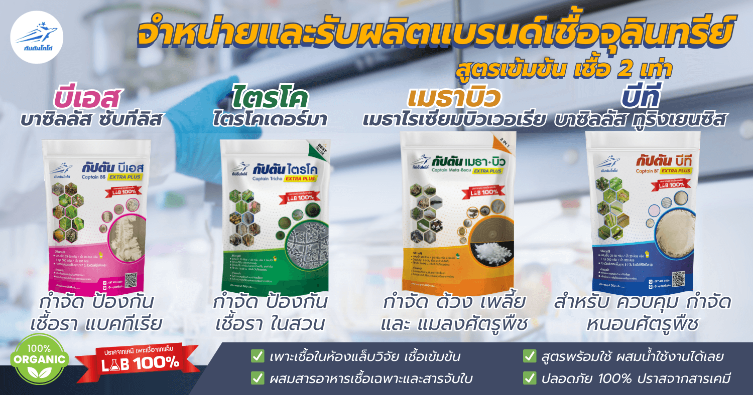 ภาพรวมสินค้า กัปตันโคโค่ ไตรโคเดอร์มา