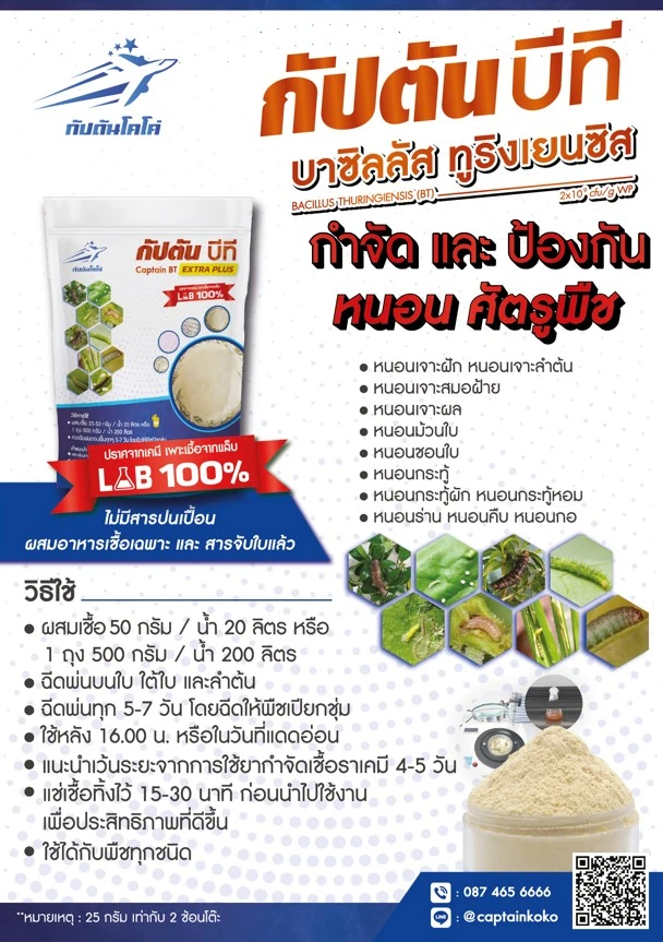 บีที สรรพคุณวิธีใช้