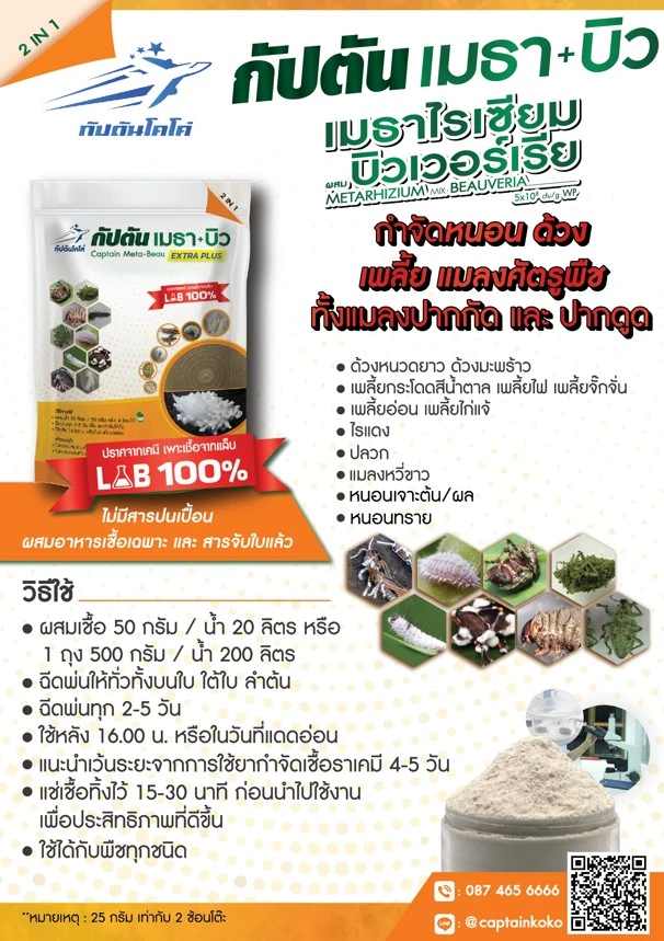 เมธาบิว สรรพคุณวิธีใช้