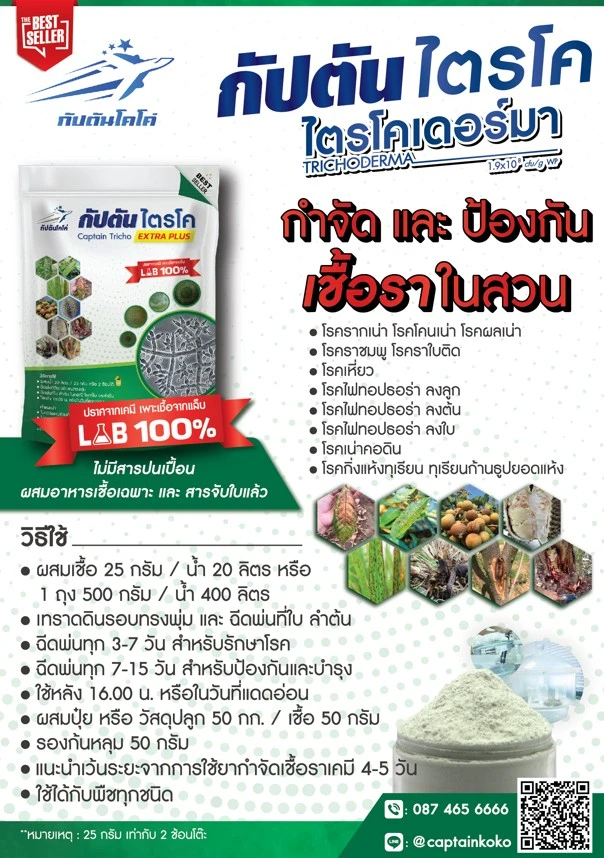 ไตรโคเดอร์มา สรรพคุณวิธีใช้