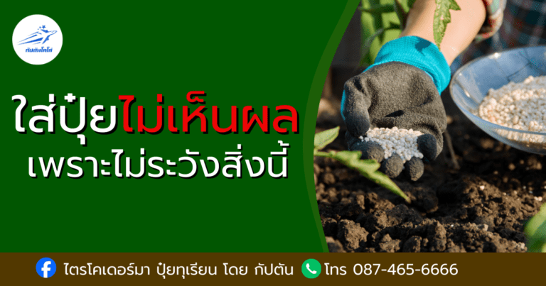 Read more about the article ปุ๋ยทุเรียนไม่เห็นผล เพราะไม่ระวังสิ่งนี้