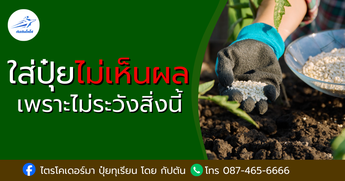 You are currently viewing ปุ๋ยทุเรียนไม่เห็นผล เพราะไม่ระวังสิ่งนี้